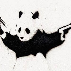 Meet your Posher, Luke